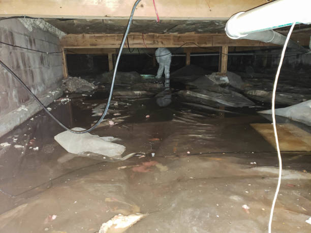 Flood Restoration Melbourne
