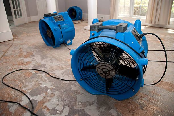 Flood Restoration Melbourne